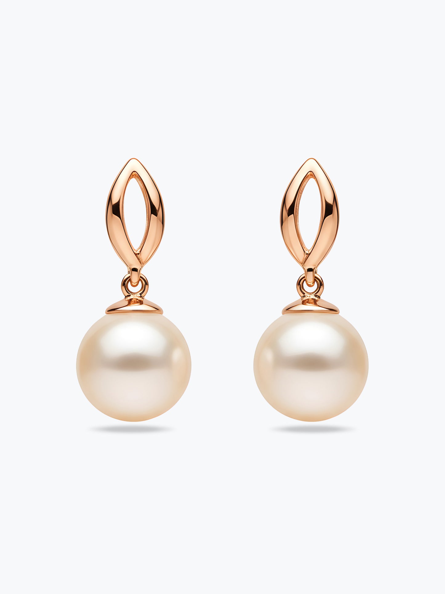 Starlit Grace Earrings